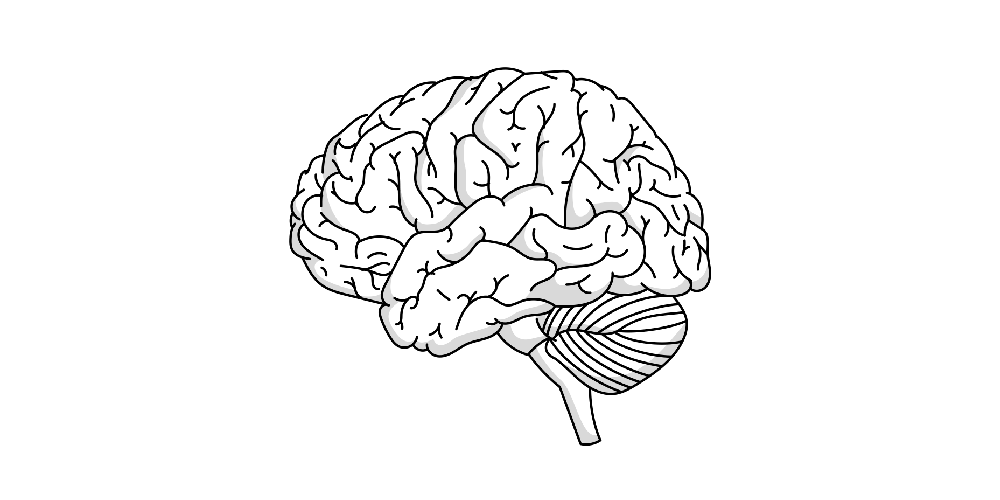 Simple black and white brain outline