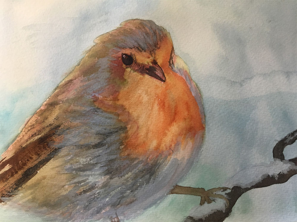 Watercolour painting of a robin